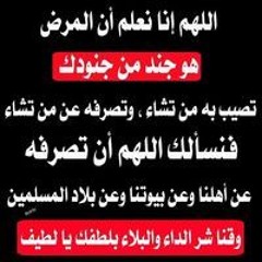 Alaa Mohamed