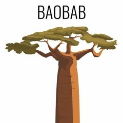 BaOBaB