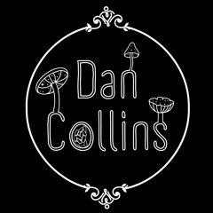 Dan Collins / Band