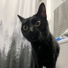 SchmidtyWitit