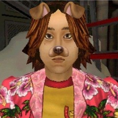 aqiwa / zin / foodles