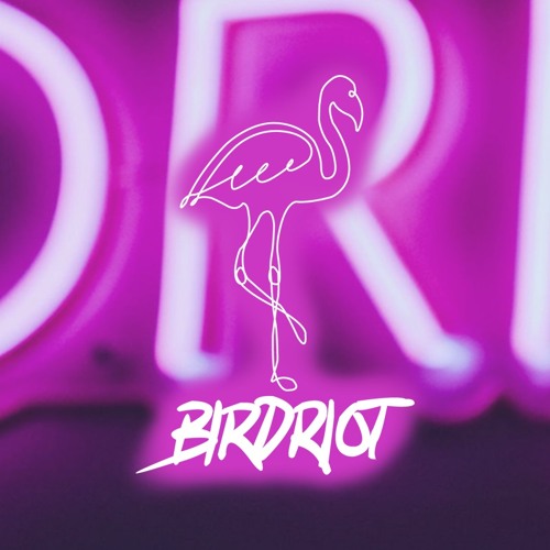 Birdriot’s avatar