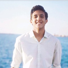 Mahmoud Aboelanin