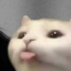 Beelzibibble