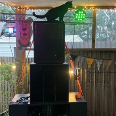 SUBVERSIVE SOUNDSYSTEM