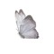 AYAM