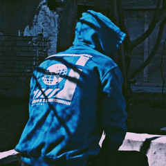 nader ds