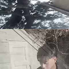 shuzei