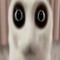 qwewwz