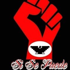 User 450370563