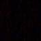 User 339176919
