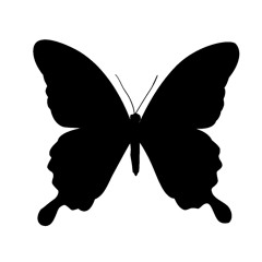 유키