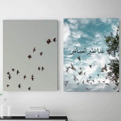 مصحف الحدر ياسر سلامة