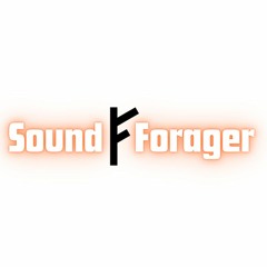 Sound Forager