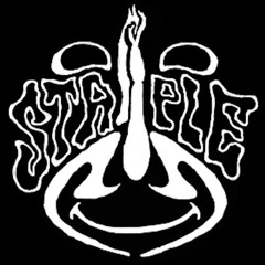 STAPLEGUN 2