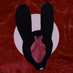 Waltz Rabbit