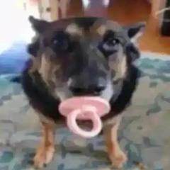 胡鈞茗