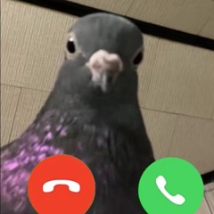 sixbene
