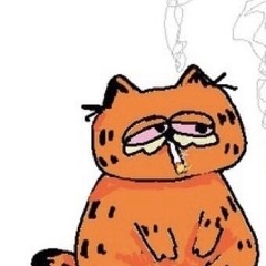 lyt