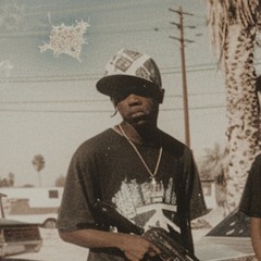 Waco Posse