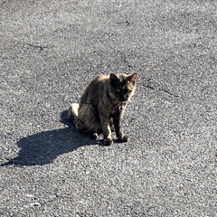 おでんくん