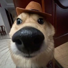 _mtoan_