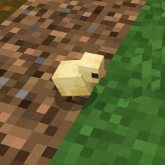 kawkla