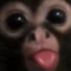 JayJay
