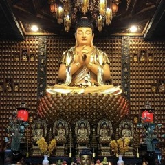 SơnMichaco