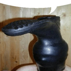 The Penis (Eek!) (low quality)