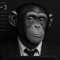 Marcel Du Chimp