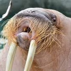 Eat Lejindary