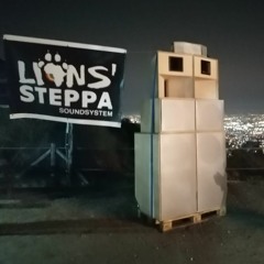 Mattia Lion S.