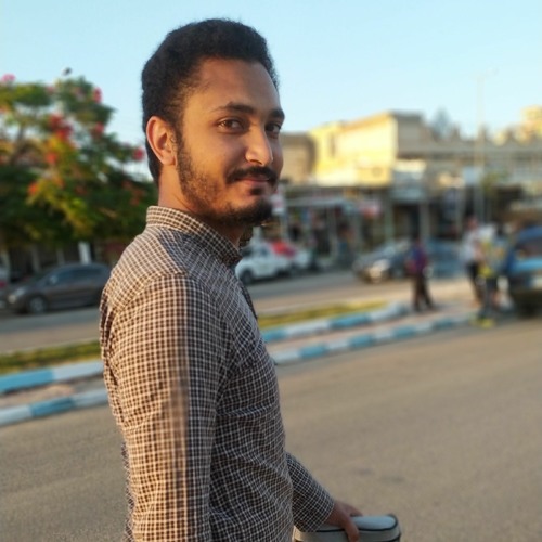 احمد مجاهد’s avatar