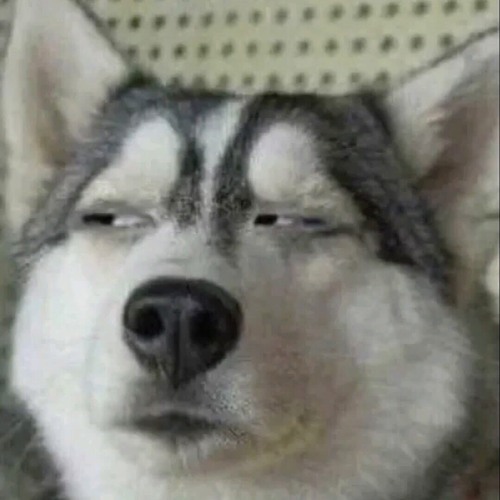 MOVE UP  TEEME REMIX