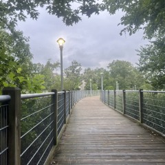 i wish i was blissfully ignorant