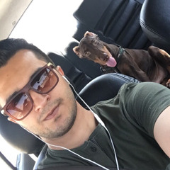 ali kamalzadeh