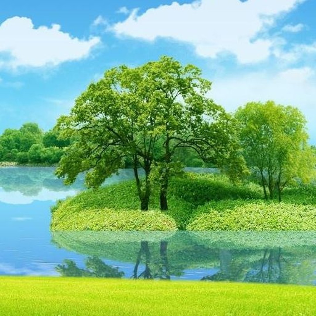 Stream tree music | Listen to songs, albums, playlists for free on ...