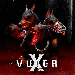 VULGR-X