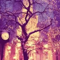《 . همسة . شوق . 》