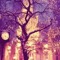 《 . همسة . شوق . 》