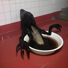 z0o