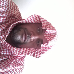 ايمن الوهابى