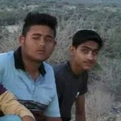 سید حسین عباس بادشاہ