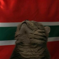 ꧁ɴᴇʙᴜʟᴀ꧂