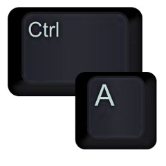 ctrl a