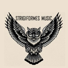 Strigiformes Music