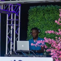 Selector Shaka 868