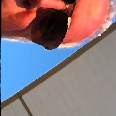 joegigs