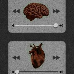 kuty's🎶lamelo🎙❤️